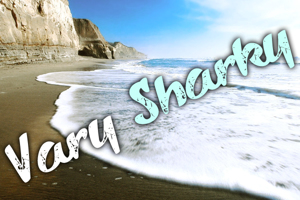 Vary Sharky