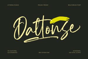 Related font Daltonse VERSION