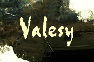 v Valesy