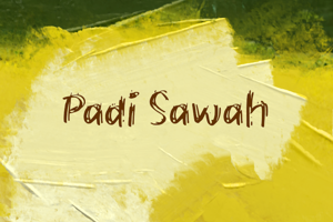 Padi Sawah