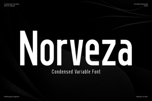 Related font Norveza