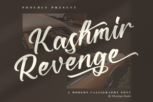 Kashmir Revenge