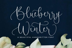 Blueberry Winter