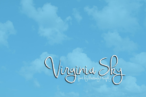 Virginia Sky