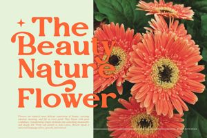 Related font Vegitto