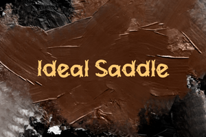 i Ideal Saddle