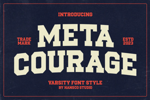 Meta Courage