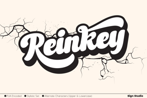 Reinkey