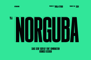 Related font TBJ Norguba Condensed Sans