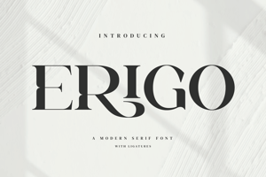 Related font Erigo