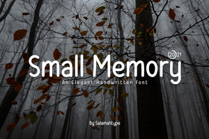 Small Memory