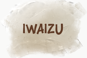 i Iwaizu