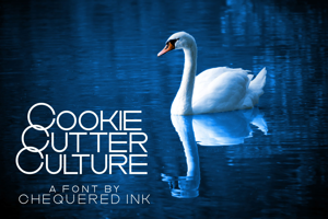 Cookie Cutter Culture