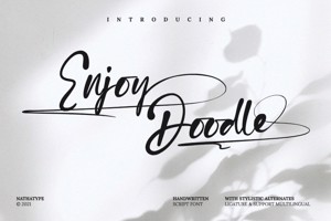 Enjoy Doodle