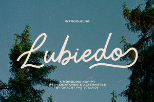 Related font Lubiedo
