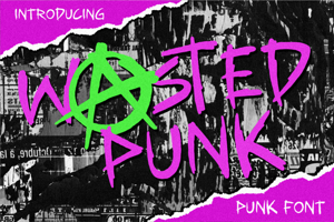 Wasted Punk