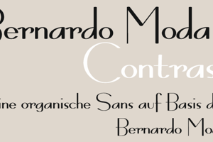 Bernardo Moda Contrast