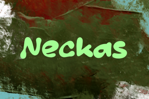 n Neckas