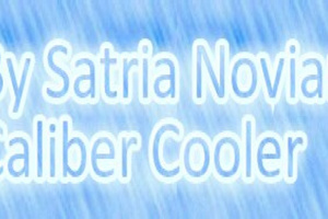 Caliber Cooler