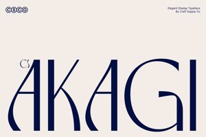 Related font CS Akagi