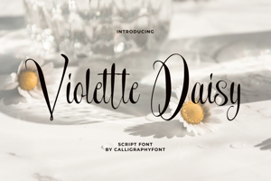 Violette Daisy