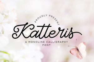Katteris - Monoline Calligraphy Font