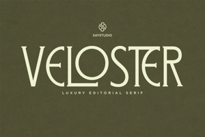 Related font Veloster DEMO