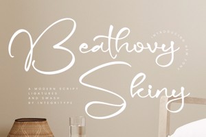Beathovy Skiny