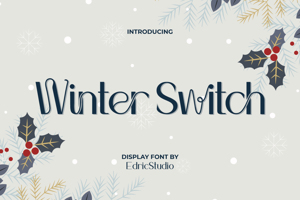 Winter Switch