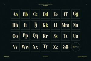 Related font TBJ Malibu Serif Font