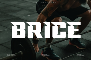 Related font Brice