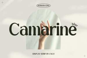 Related font Camarine Blur