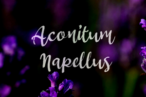 a Aconitum Napellus