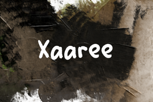 Related font x Xaaree