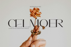 Related font Celmoer