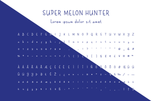 Super Melon Hunter