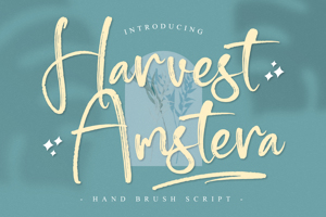 Harvest Amstera