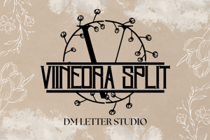 Related font Vineora Split