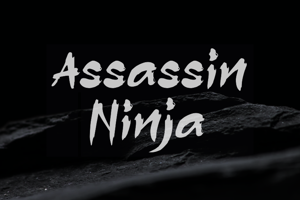 a Assassin Ninja