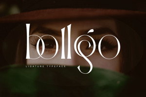 Bollgo