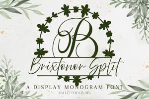 Brixtonor Split Monogram