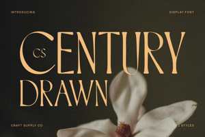 CS Century Drawn