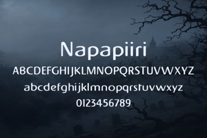 Related font Napapiiri