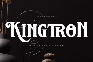 Kingtron VERSION