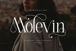 Related font Molevin