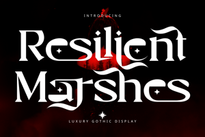 Related font Resilient Marshes