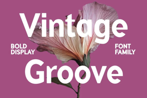 Related font Vintage Groove Bubble Fun
