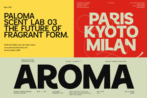 Related font Sansform
