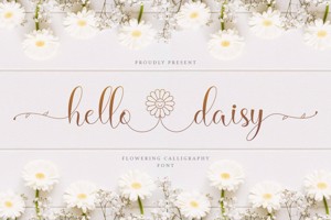 Hello Daisy - Flowering Script