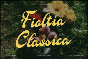 Related font Fioltia Classica